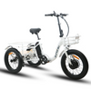 Eunorau NEW-TRIKE Electric Cargo Tricycle