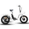 Eunorau NEW-TRIKE Electric Cargo Tricycle