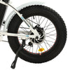 Ecotric Dolphin 500W Folding Electric Bike