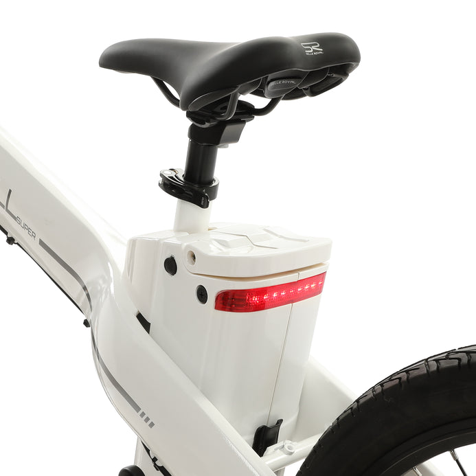 Ecotric Seagull Electric Mountain Bicycle – Energy eBikes