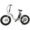 Ecotric Dolphin 500W Folding Electric Bike