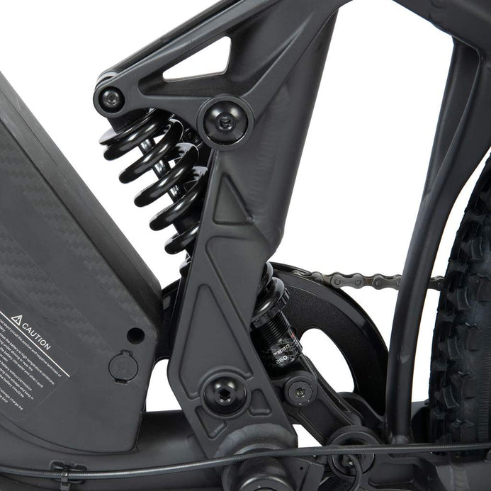Ecotec electric bike on sale