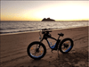 Ecotric Hammer 750W Fat Tire E-Bike for All Terrains