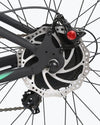 Ecotric Hammer 750W Fat Tire E-Bike for All Terrains