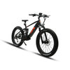 Eunorau 2021 FAT-HS Electric Fat Tire Mountain Bike