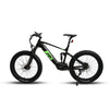 Eunorau FAT-HS/Hunter X8 Electric Fat Tire Mountain Bike