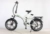 Green Bike USA GB750 MAG Foldable Electric Bike