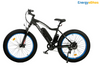 Ecotric Rocket 500W Fat Tire All Terrain Electric Bike