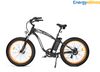 Ecotric Hammer Fat Tire Electric Cruiser Bike