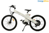 Ecotric Seagull 1000W Electric Bike