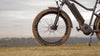 Eunorau FAT-HD Electric Fat Tire Mountain Bike