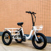 Eunorau NEW-TRIKE Electric Cargo Tricycle