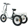 Eunorau NEW-TRIKE Electric Cargo Tricycle