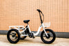 Eunorau NEW-TRIKE Electric Cargo Tricycle