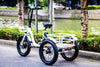 Eunorau NEW-TRIKE Electric Cargo Tricycle