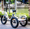 Eunorau NEW-TRIKE Electric Cargo Tricycle