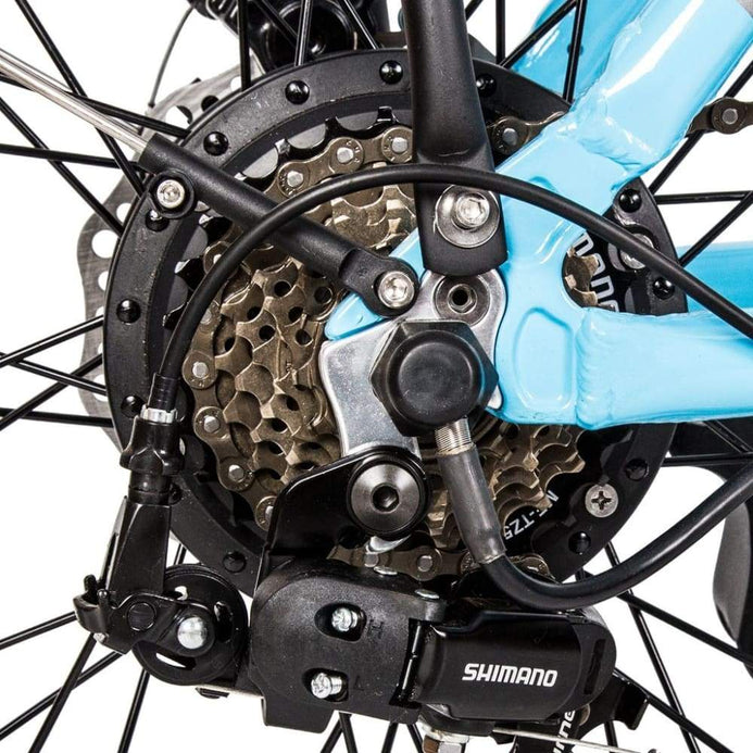 Ecotric starfish hot sale