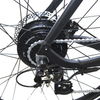 AmericanElectric Raven 2022 Step-Thru Electric Bike