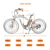 Ecotric Hammer Fat Tire Electric Cruiser Bike