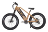 Bikonit Warthog HD 750 All Terrain Fat Tire Electric Bike