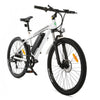 Ecotric Vortex 350W Electric Bike