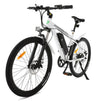 Ecotric Vortex 350W Electric Bike