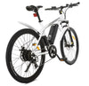 Ecotric Vortex 350W Electric Bike