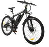 Ecotric Vortex 350W Electric Bike